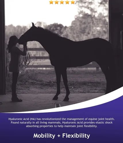 Miniatura 2 de Hyalogic Hyalun Gel - Suplemento para articulaciones equinas antes y posteriores a eventos de 1 onza para caballo