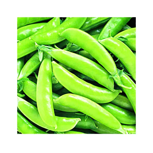 Park Seed Champion of England' Heirloom Pea Seeds, paquete de 50 semillas