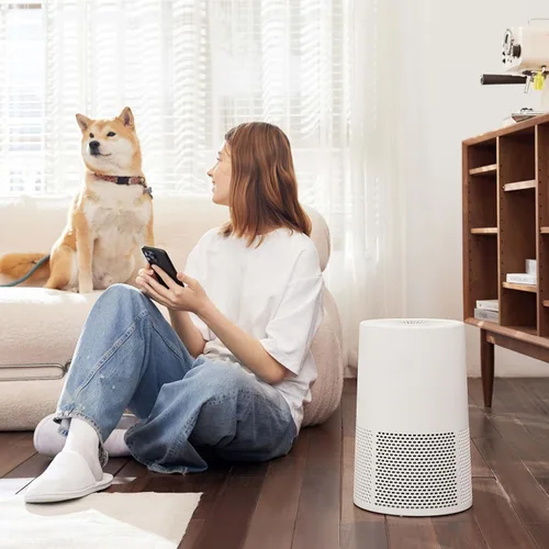 Miniatura 6 de Amazon Basics Purificador de aire para el hogar y la oficina, con carbón activado, 3 velocidades, temporizador, modo de suspensión (32 db)