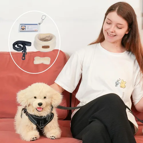 Miniatura 3 de Chongker Animales de Peluche de Perro con Juguetes Magnéticos, Suaves y Tiernos Juguetes de Peluche Golden Retriever, Animales de Peluche