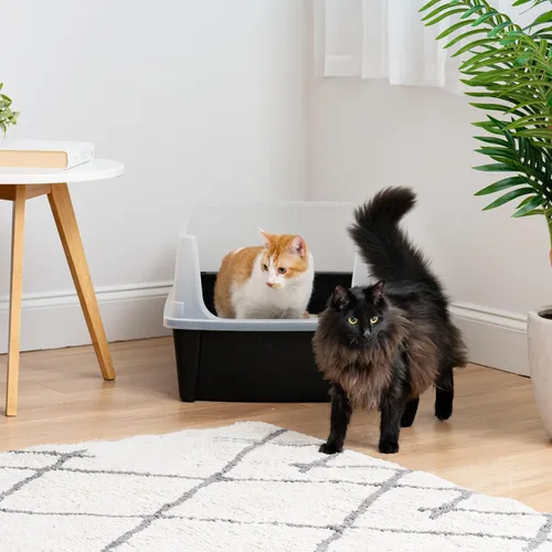 Miniatura 3 de IRIS USA Caja de arena XX-Large para gatos, caja de arena extragrande con parte superior abierta para gatos grandes y hogares con varios gatos
