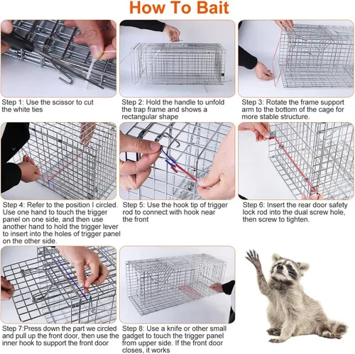 Miniatura 3 de Trampa de jaula de animales vivos de 31 pulgadas, trampa plegable resistente para gatos callejeros, mapaches, ardillas, zorrillos, marmotas, topos