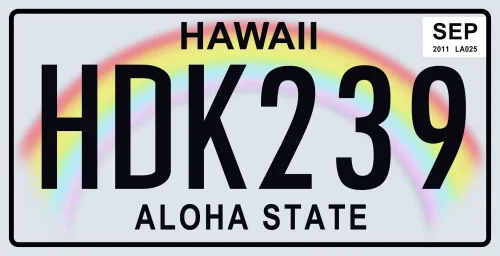 Miniatura 2 de Juego de 10 placas de metal para automóviles de Estados Unidos - réplicas de placas americanas reales de los estados americanos más famosos - MAD