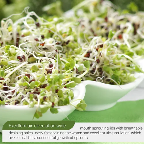 Miniatura 7 de 4 soportes de germinación para tarro Mason – Kit de germinación de 4 soportes para tarros Mason para boca ancha y regular, kit de soporte de acero