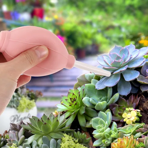 Miniatura 5 de YARNOW Juego de 6 herramientas de mano para jardín, suculentas, herramienta de trasplante de suculentas, juego de herramientas para el cuidado