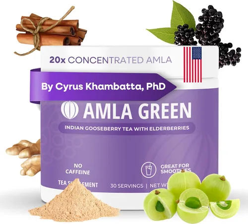 Amla Powder & Immunity Blend Superfood Suplemento con saúco, 20 veces amla ultra concentrado, apoyo inmunológico, hecho con jengibre, canela, menta,