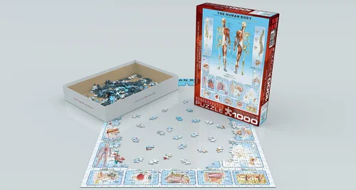 Miniatura 4 de EuroGraphics Rompecabezas de cuerpo humano (1000 piezas)