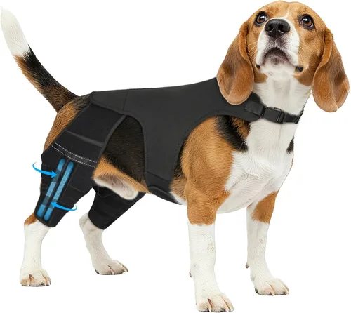 Miniatura 11 de Rodillera para perro para pierna trasera desgarrada, 4 estabilizadores, soporte de cadera ajustable para reducir el dolor, lesiones de ligamentos
