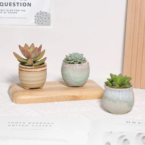Miniatura 4 de T4U Juego de 6 macetas pequeñas de cerámica para suculentas con drenaje, mini para plantas, maceta de porcelana pequeña, macetas de plantas de aire