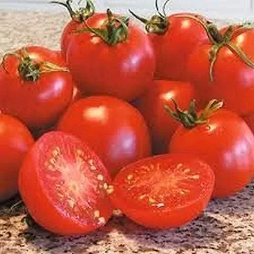 Semillas de tomate Glacier (paquete de 40 semillas)