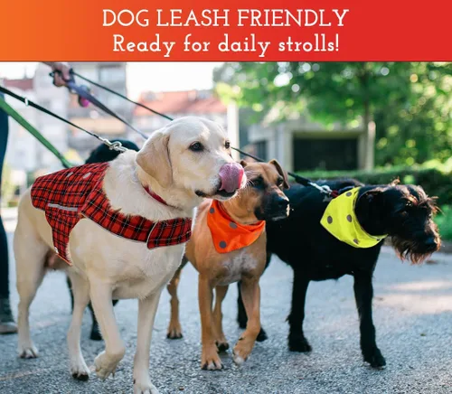 Miniatura 3 de SPOT THE DOG! Collar reflectante para perro, accesorios de seguridad para perros de alta visibilidad, collares ajustables y duraderos para mascotas