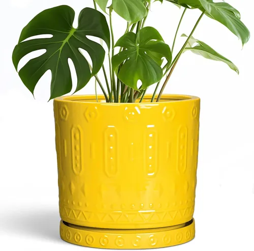 Miniatura 30 de Maceta de Cerámica Eightpot - Maceta de 20 cm para Interior con Agujeros de Drenaje y Platillo, Maceta Redonda para Exterior, Maceta Moderna de Azul
