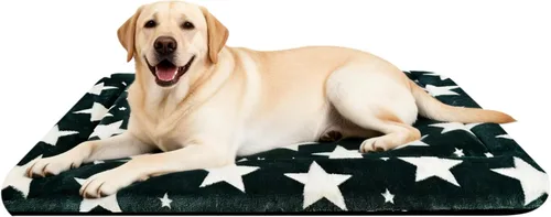 Miniatura 33 de Alfombrilla para Cama de Perro – Almohadilla de Perrera Suave y Cómoda para Jaula – Cama y Almohadilla Duradera para Perros y Gatos – Ideal para Gris