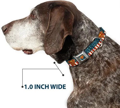 Miniatura 6 de Buckle-Down Collar de perro con hebilla de cinturón de seguridad, Superman Shield Americana Rojo/Blanco/Azul/Amarillo – 1 pulgada de ancho – Se