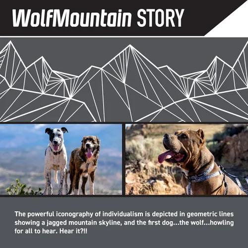 Miniatura 2 de Wolfgang - Collar de perro resistente y ajustable con hebilla de nailon de liberación rápida para caminar y entrenar, estampado WolfMountain
