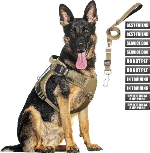 Miniatura 8 de Juego de arnés táctico para perros y correa para perros grandes, chaleco de perro de servicio resistente sin tirones y 10 parches con cinturón