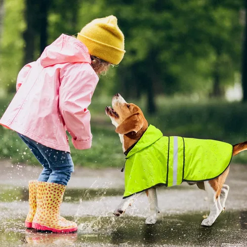 Miniatura 5 de Chaqueta de Lluvia con Capucha para Perro - Chaqueta de Lluvia Reflectante para Perro, Impermeable y Ligera para Perros Pequeños, Medianos y Grandes
