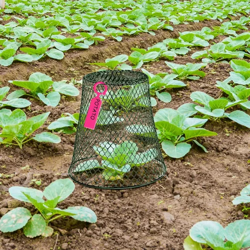 Miniatura 6 de 10 cubiertas de alambre para plantas de alambre de alambre para jardín, alambre de pollo, protector de plantas de metal resistente para plantas