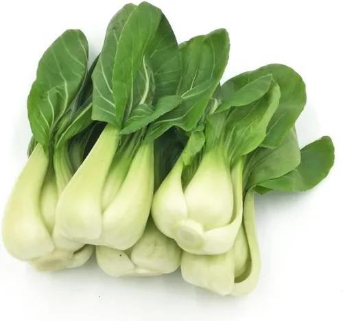2026 EarlyBird-Siembre en Otoño/Primavera. Semillas de Baby Bok Choy de HipGirl para Brotes, Semillas de Repollo para Plantar, Siembra de Semillas