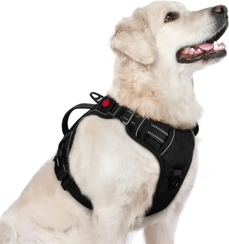 Miniatura 34 de rabbitgoo Arnés para perro de tamaño pequeño, arnés para mascotas sin tirones con mango acolchado suave, chaleco reflectante ajustable con 3