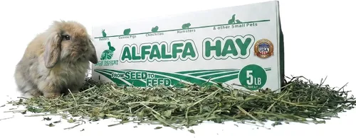 Miniatura 11 de High Desert Heno de alfalfa, alimento de hojas blandas rico en proteínas para animales jóvenes en crecimiento, alimento natural para conejos y heno