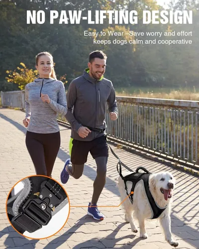 Miniatura 3 de Juego de arnés para correr para perros con cinturón y correa de absorción de golpes Hands-Free Control, Easy to Put On Design for Medium to Large