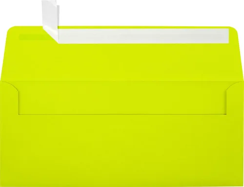 Miniatura 26 de LUXPaper Sobres comerciales #10 4 1/8 pulgadas x 9 1/2 pulgadas Verde pastel Texto de 60 libras 250