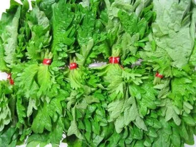 Green Shiso Leaves, 2 Count of 100, Avg 1 lb Box, Perilla Variety, Bold Flavor, Perfect for Sushi and Japanese Cuisine, Bulk for Chefs
