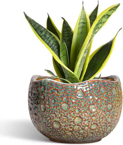 Miniatura 10 de Macetas de Cerámica Thirtypot - Maceta de 4 Pulgadas con Agujero de Drenaje, Macetas Pequeñas para Plantas de Interior y Exterior, Maceta Redonda