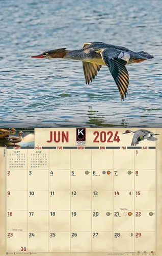 Miniatura 3 de The KING Company - Calendario de pared de aves acuáticas 2024, tamaño XL, 14 x 22 pulgadas, calendario de gansos de pato por The KING