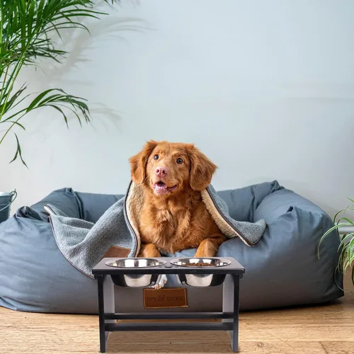 Miniatura 7 de HTB Cuencos elevados para perros, soporte elevado para perros con 2 cuencos de acero inoxidable, cuencos elevados para perros grandes, medianos