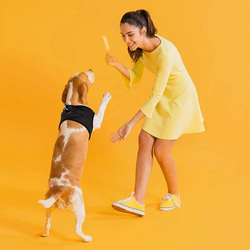 Miniatura 6 de Dogline York Step-in Air - Arnés de malla para perro, sin estrangulamiento, chaleco suave acolchado en el pecho para cachorros, perros pequeños