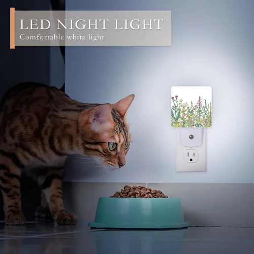 Miniatura 4 de Luz nocturna, hierbas y flores silvestres, luces nocturnas enchufables a la pared para niños y niñas, luz nocturna decorativa media redonda, lámpara