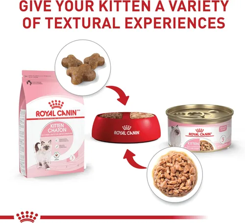 Miniatura 4 de Comida enlatada para gatos, de Royal Canin, salud felina, nutrición instintiva de adultos, rebanadas delgadas en salsa, Paquete de 6