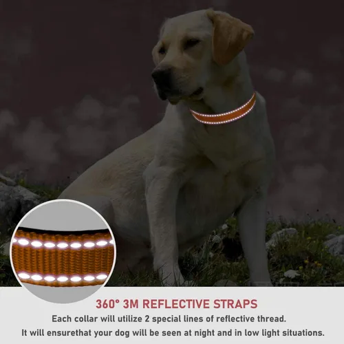 Miniatura 4 de Collar de perro reflectante con hebilla ajustable de nailon, collares de seguridad para perros pequeños, medianos y grandes, color naranja XXS