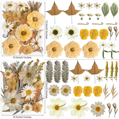 Miniatura 3 de 96 piezas de flores blancas secas y prensadas vintage para manualidades con resina - Juego de flores naturales reales de YouthBro con 50 calcomanías