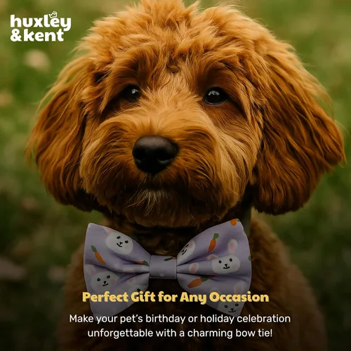 Miniatura 9 de Huxley & Kent Corbatín para mascotas para perros y gatos - Accesorio de collar ajustable de gancho y velcro de primavera y Pascua - Lindo y cómodo