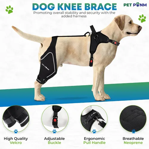 Miniatura 3 de Rodillera ajustable para perro- Pierna trasera derecha con arnés integrado- Soporte premium para recuperación de ligamento cruzado anterior
