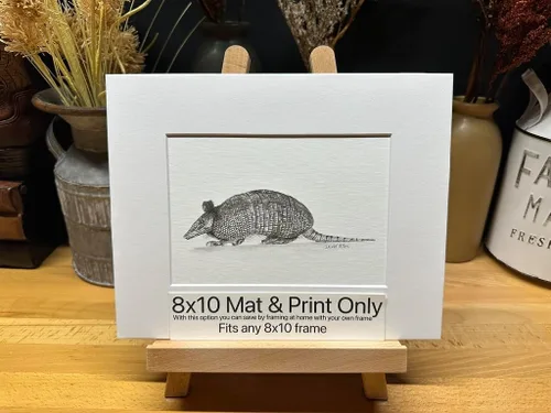 Armadillo Nature Wildlife Graphite Pencil Art Sketch Drawing Print Picture Limited Edition ~ Titled 'Little Armored One' by David Allen (8x10 Mat &
