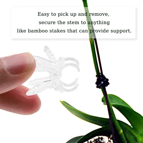 Miniatura 2 de Watris Veiyi 100 piezas de soporte para orquídeas de plantas, clips de orquídea libélula de jardín, clips portátiles de vid de flores lindos