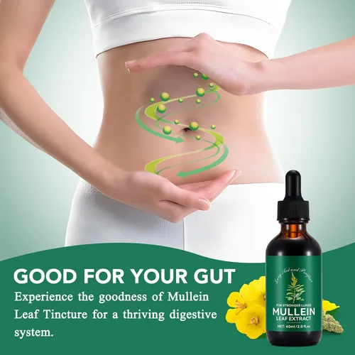 Miniatura 7 de HUYEHF Gotas de gordolobo, extracto de hoja de gordolobo para pulmones, gotas de hojas de gordolobo para limpieza pulmonar y flema, absorción rápida