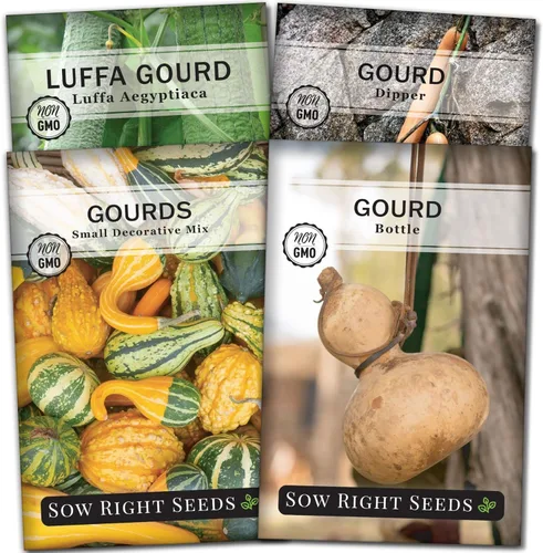 Sow Right Seeds - Colección de semillas de calabaza para plantar - Paquetes de calabazas decorativas, Luffa, Dipper y botella - Cultiva tus propias