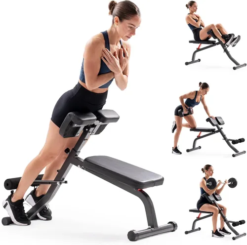 Sunny Health & Fitness Multi-Function Roman Chair with Dip Station & Sit-Up Bench, Adjustable Heavy-Duty Strength Training Equipment for Glutes,