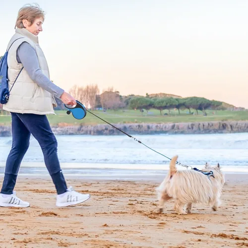 Miniatura 7 de SCENEREAL Correa retráctil para perros pequeños, medianos y grandes de hasta 110 libras, cinta de nailon sin enredos de 26 pies y 360° con cuerda