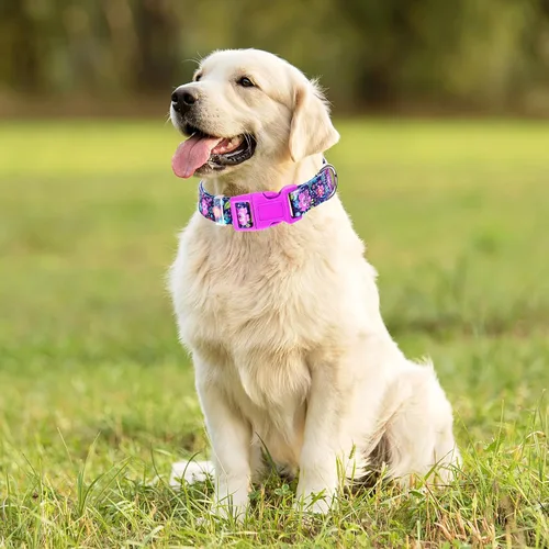 Miniatura 11 de Collares de Perro para Niñas con Patrones de Margaritas, Lindo Collar Rosa para Perras, Collares Ajustables Blandos y Duraderos para Perros XS 12