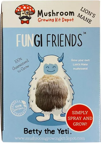 Miniatura 2 de Kit de cultivo de hongos melena de león (5 libras) Betty The Yeti Apto para principiantes y fácil de usar Hecho a mano en Estados Unidos