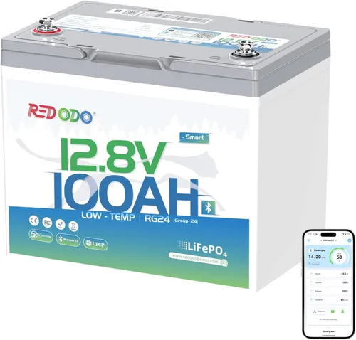 Redodo - Batería LiFePO4 de 12 V/100 Ah con Bluetooth, protección contra bajas temperaturas BCI Grupo 24 de litio para motor de arrastre, BMS