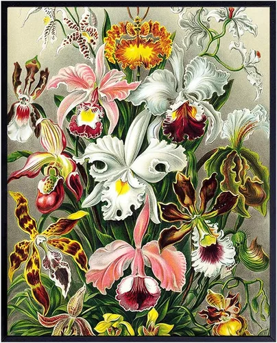 Póster de orquídea vintage de 8 x 10 pulgadas, decoración artística Shabby Chic para el hogar, apartamento, oficina, sala de estar, dormitorio,