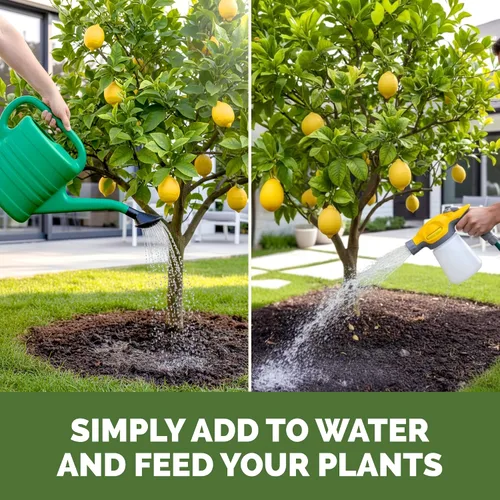 Miniatura 6 de Abono para Árbol de Limón, Alimento Completo para Plantas de Árbol de Limón, 8 oz (250mL)