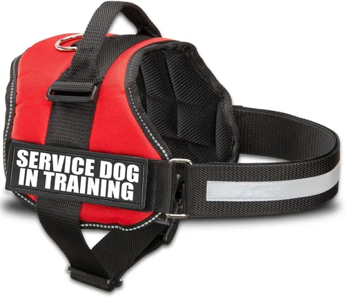 Industrial Puppy Arnés de chaleco de entrenamiento para perro de servicio, chaleco duradero y ajustable con correas reflectantes, parches